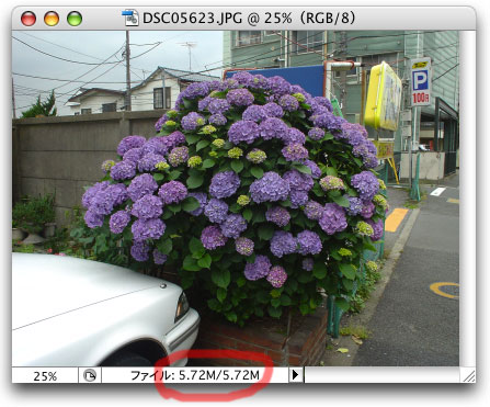 細かい絵柄の画像データ